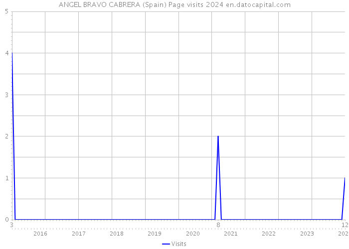ANGEL BRAVO CABRERA (Spain) Page visits 2024 