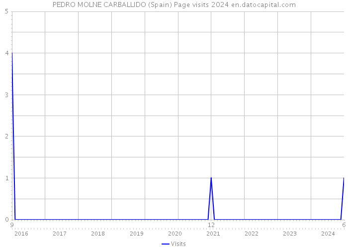 PEDRO MOLNE CARBALLIDO (Spain) Page visits 2024 