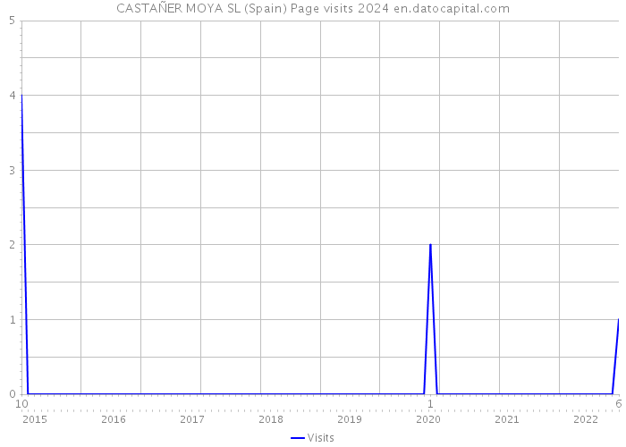 CASTAÑER MOYA SL (Spain) Page visits 2024 