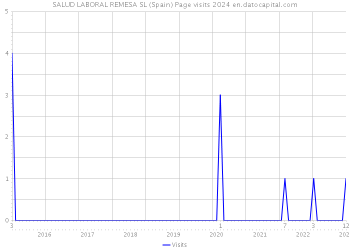 SALUD LABORAL REMESA SL (Spain) Page visits 2024 