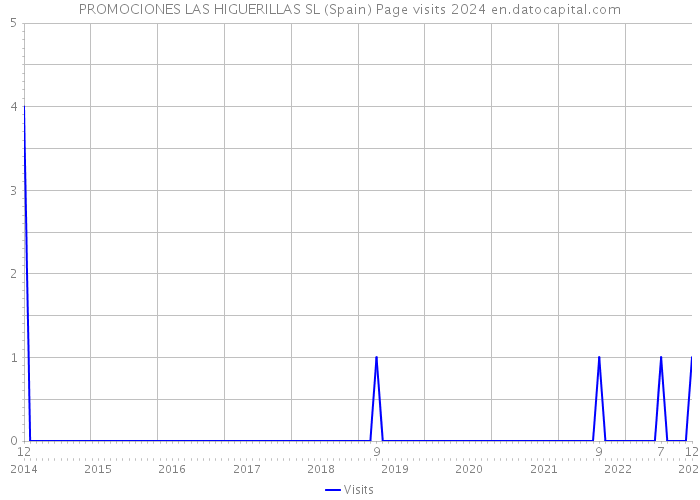PROMOCIONES LAS HIGUERILLAS SL (Spain) Page visits 2024 