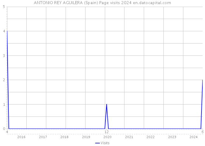 ANTONIO REY AGUILERA (Spain) Page visits 2024 