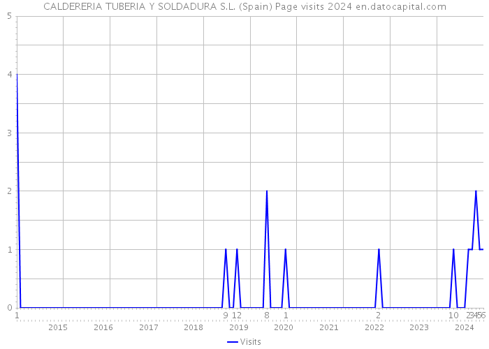 CALDERERIA TUBERIA Y SOLDADURA S.L. (Spain) Page visits 2024 
