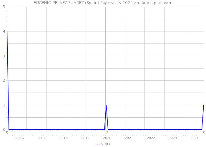 EUGENIO PELAEZ SUAREZ (Spain) Page visits 2024 