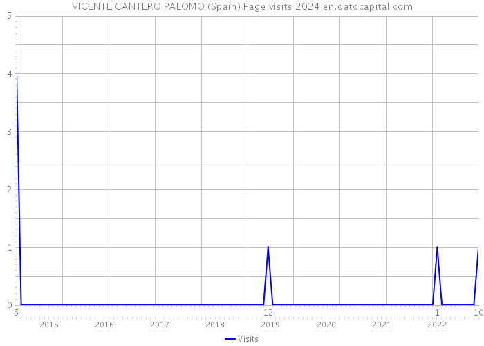 VICENTE CANTERO PALOMO (Spain) Page visits 2024 