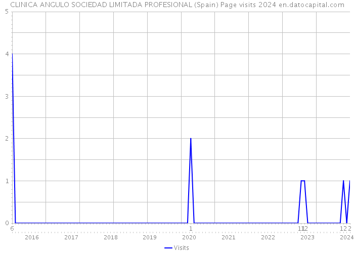 CLINICA ANGULO SOCIEDAD LIMITADA PROFESIONAL (Spain) Page visits 2024 