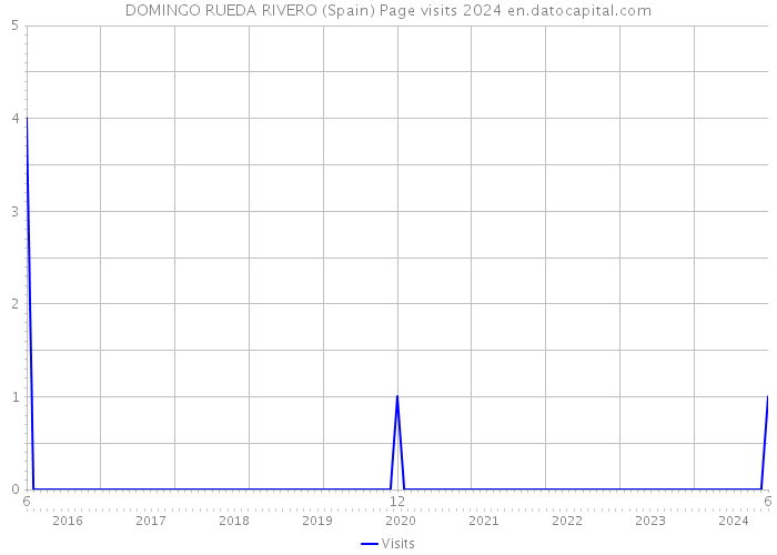 DOMINGO RUEDA RIVERO (Spain) Page visits 2024 