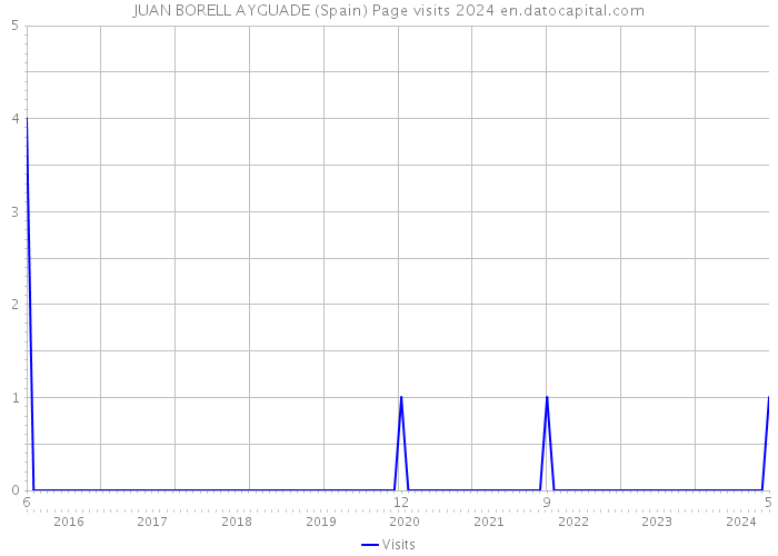 JUAN BORELL AYGUADE (Spain) Page visits 2024 
