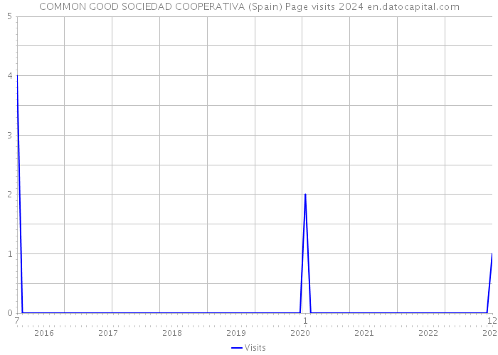 COMMON GOOD SOCIEDAD COOPERATIVA (Spain) Page visits 2024 
