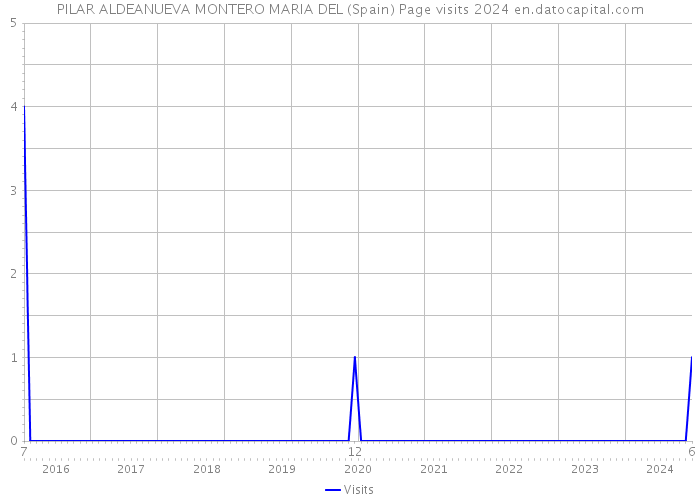 PILAR ALDEANUEVA MONTERO MARIA DEL (Spain) Page visits 2024 