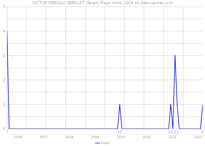 VICTOR REBOLLO BERICAT (Spain) Page visits 2024 