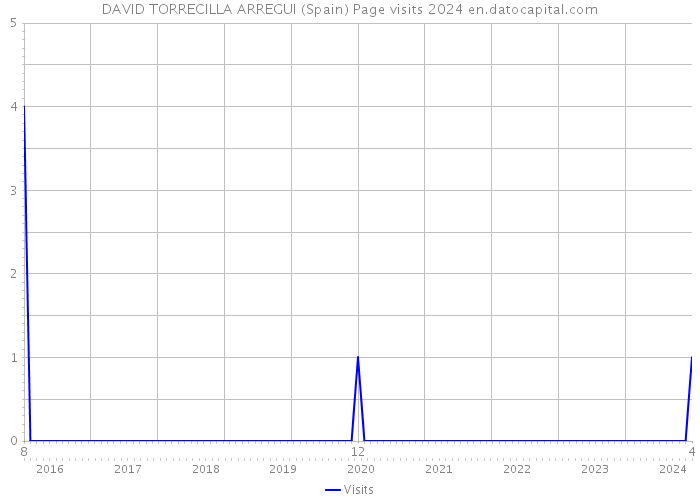 DAVID TORRECILLA ARREGUI (Spain) Page visits 2024 