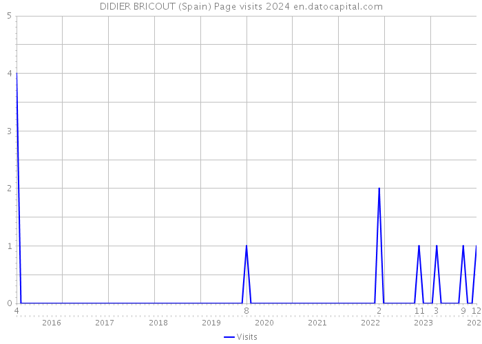 DIDIER BRICOUT (Spain) Page visits 2024 