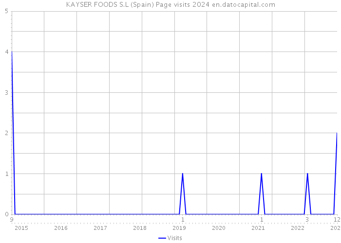 KAYSER FOODS S.L (Spain) Page visits 2024 