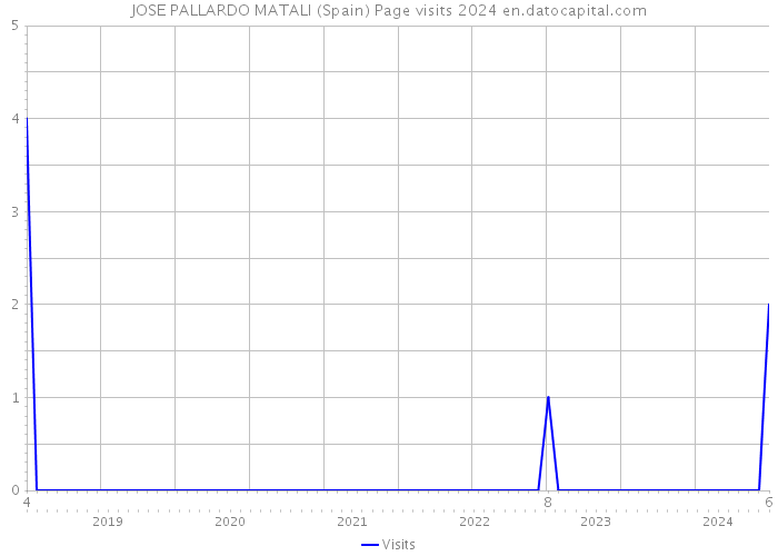 JOSE PALLARDO MATALI (Spain) Page visits 2024 