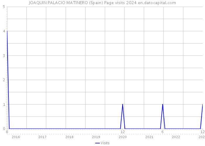 JOAQUIN PALACIO MATINERO (Spain) Page visits 2024 
