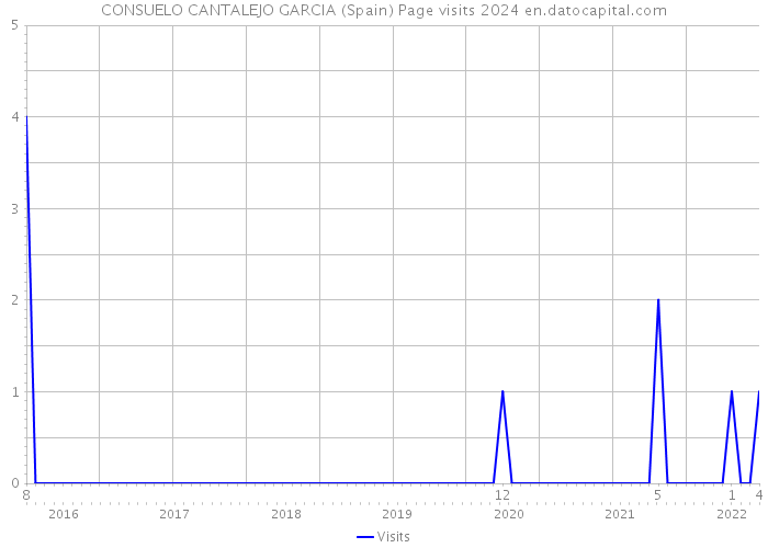 CONSUELO CANTALEJO GARCIA (Spain) Page visits 2024 