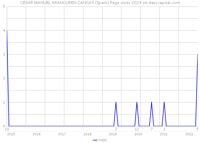 CESAR MANUEL ARANGUREN CANGAS (Spain) Page visits 2024 