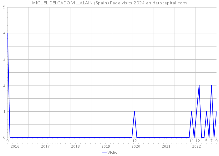 MIGUEL DELGADO VILLALAIN (Spain) Page visits 2024 