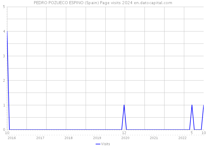 PEDRO POZUECO ESPINO (Spain) Page visits 2024 