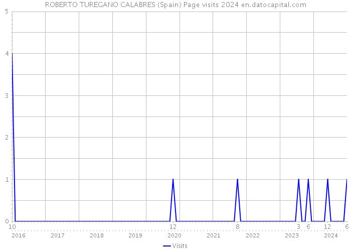 ROBERTO TUREGANO CALABRES (Spain) Page visits 2024 