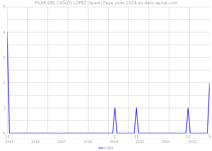 PILAR DEL CAÑIZO LOPEZ (Spain) Page visits 2024 