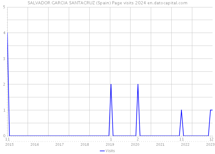 SALVADOR GARCIA SANTACRUZ (Spain) Page visits 2024 