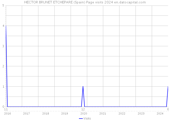 HECTOR BRUNET ETCHEPARE (Spain) Page visits 2024 