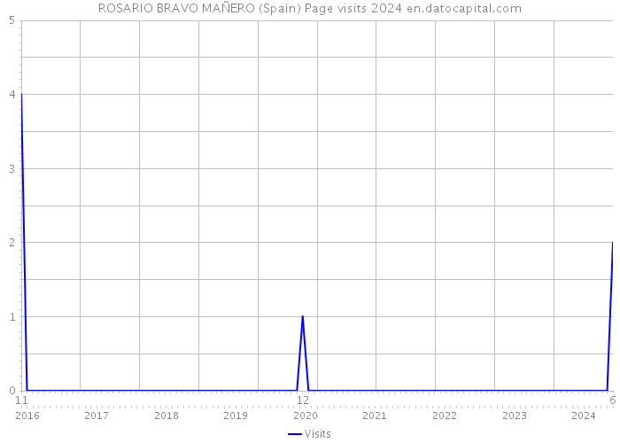 ROSARIO BRAVO MAÑERO (Spain) Page visits 2024 