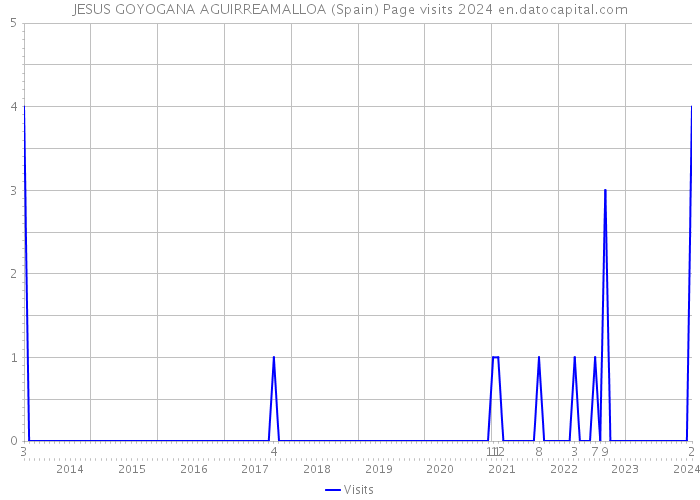 JESUS GOYOGANA AGUIRREAMALLOA (Spain) Page visits 2024 