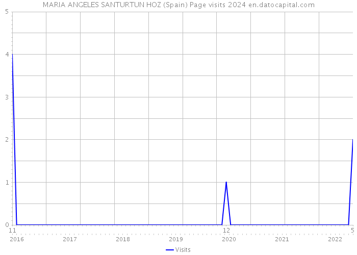 MARIA ANGELES SANTURTUN HOZ (Spain) Page visits 2024 