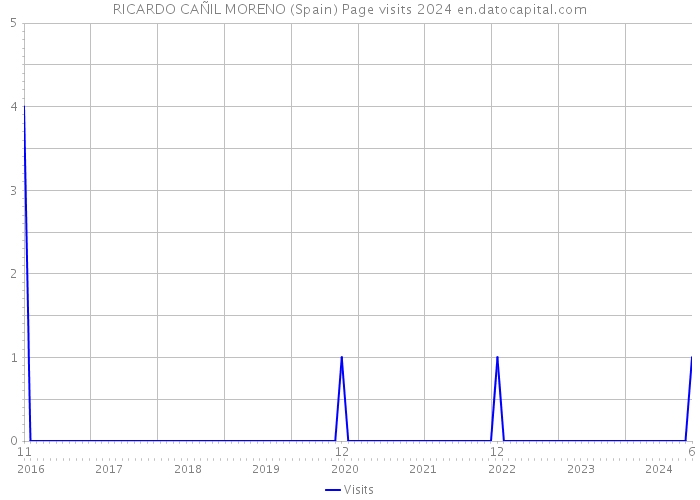 RICARDO CAÑIL MORENO (Spain) Page visits 2024 