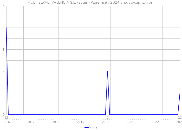 MULTISERVEI VALENCIA S.L. (Spain) Page visits 2024 