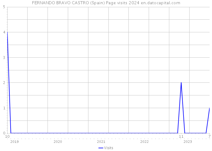 FERNANDO BRAVO CASTRO (Spain) Page visits 2024 