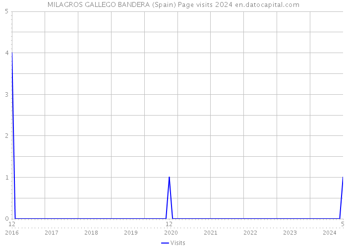 MILAGROS GALLEGO BANDERA (Spain) Page visits 2024 
