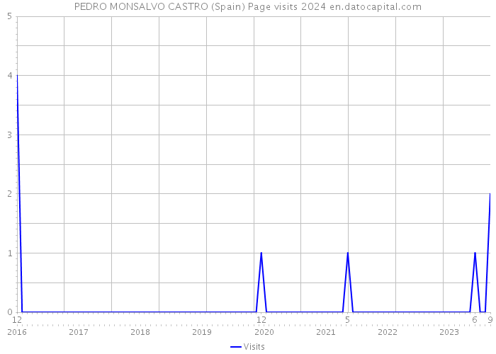 PEDRO MONSALVO CASTRO (Spain) Page visits 2024 