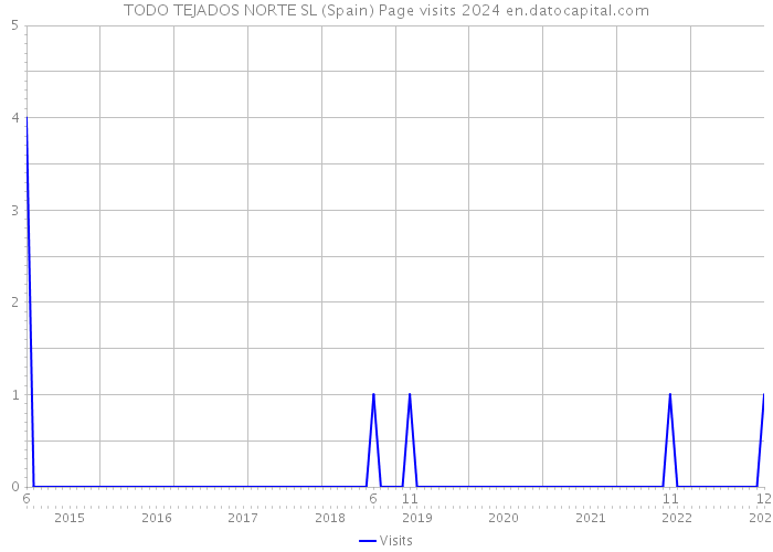 TODO TEJADOS NORTE SL (Spain) Page visits 2024 