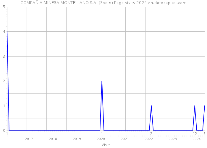 COMPAÑIA MINERA MONTELLANO S.A. (Spain) Page visits 2024 