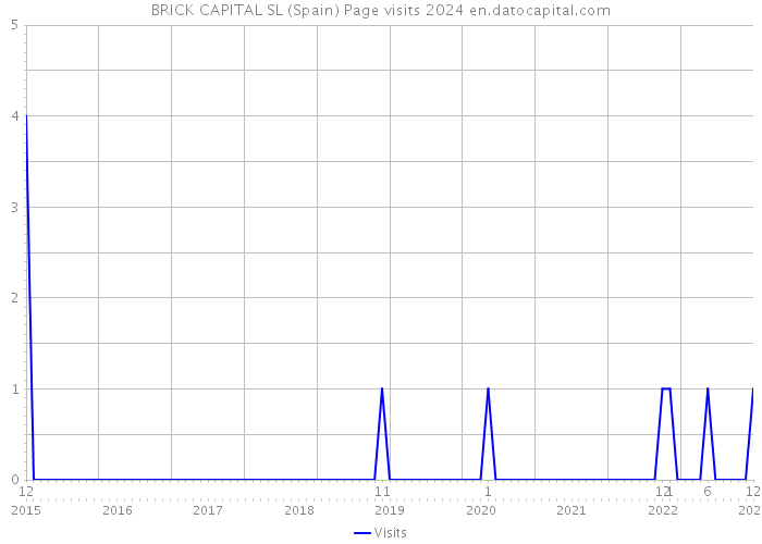 BRICK CAPITAL SL (Spain) Page visits 2024 