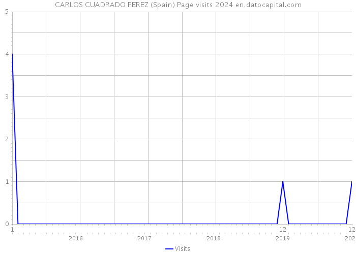 CARLOS CUADRADO PEREZ (Spain) Page visits 2024 