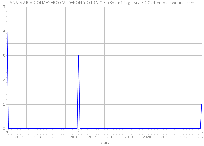 ANA MARIA COLMENERO CALDERON Y OTRA C.B. (Spain) Page visits 2024 