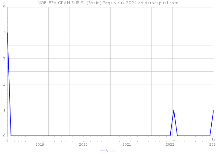 NOBLEZA GRAN SUR SL (Spain) Page visits 2024 