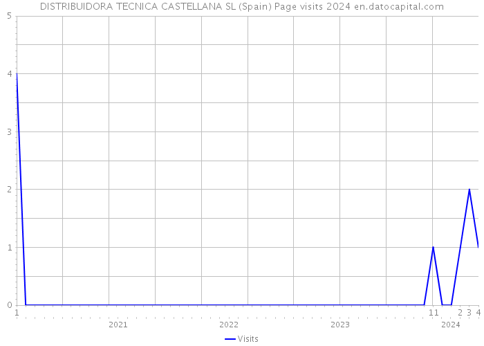 DISTRIBUIDORA TECNICA CASTELLANA SL (Spain) Page visits 2024 