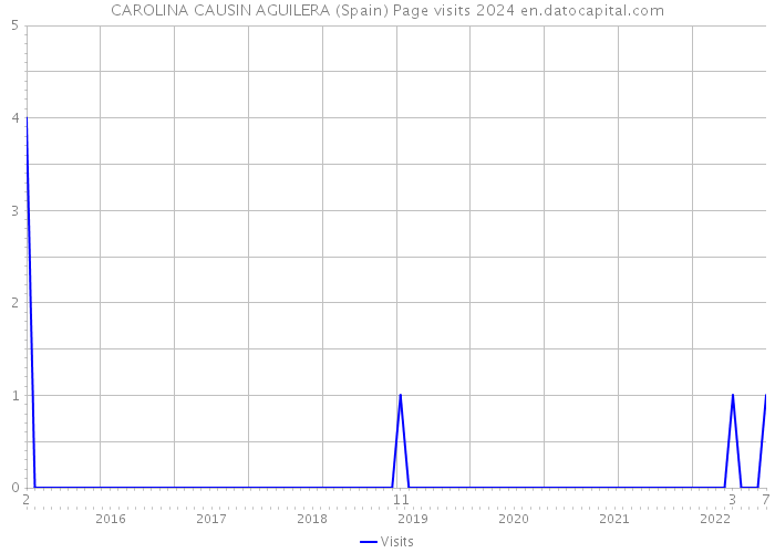 CAROLINA CAUSIN AGUILERA (Spain) Page visits 2024 