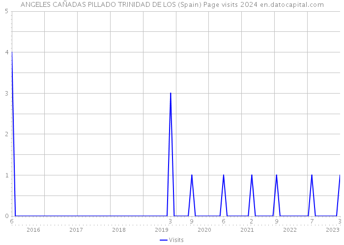 ANGELES CAÑADAS PILLADO TRINIDAD DE LOS (Spain) Page visits 2024 