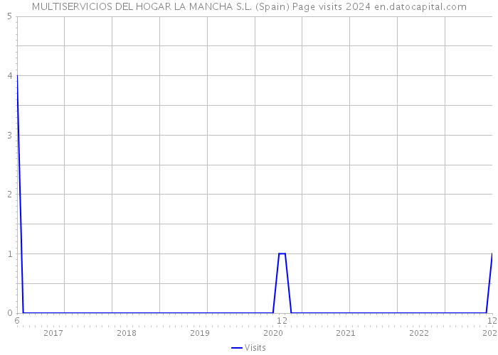 MULTISERVICIOS DEL HOGAR LA MANCHA S.L. (Spain) Page visits 2024 
