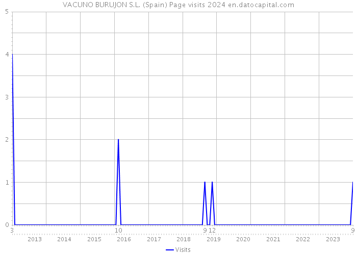 VACUNO BURUJON S.L. (Spain) Page visits 2024 