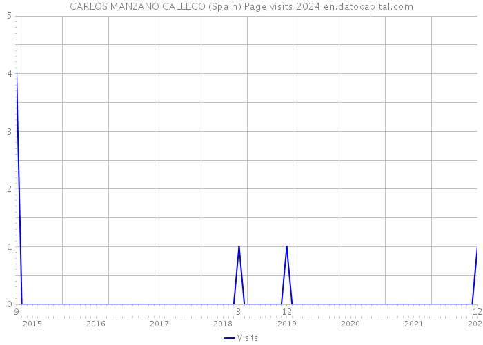 CARLOS MANZANO GALLEGO (Spain) Page visits 2024 