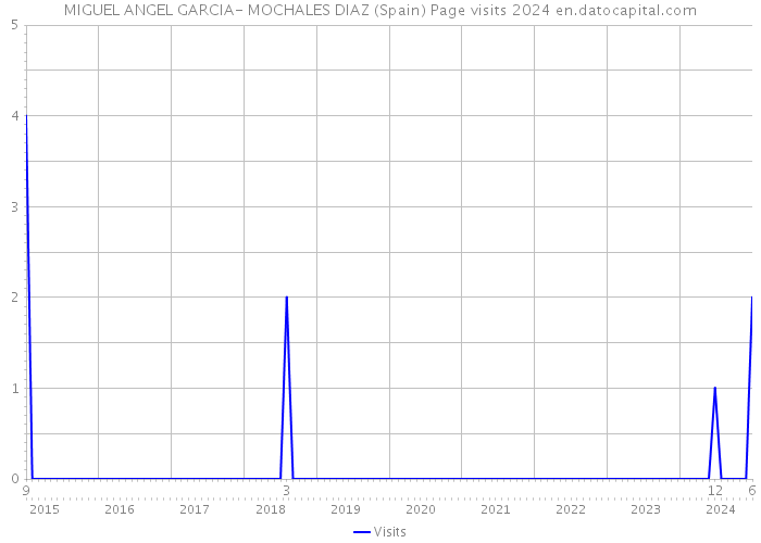 MIGUEL ANGEL GARCIA- MOCHALES DIAZ (Spain) Page visits 2024 