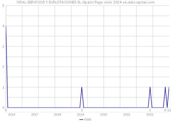 VIDAL SERVICIOS Y EXPLOTACIONES SL (Spain) Page visits 2024 